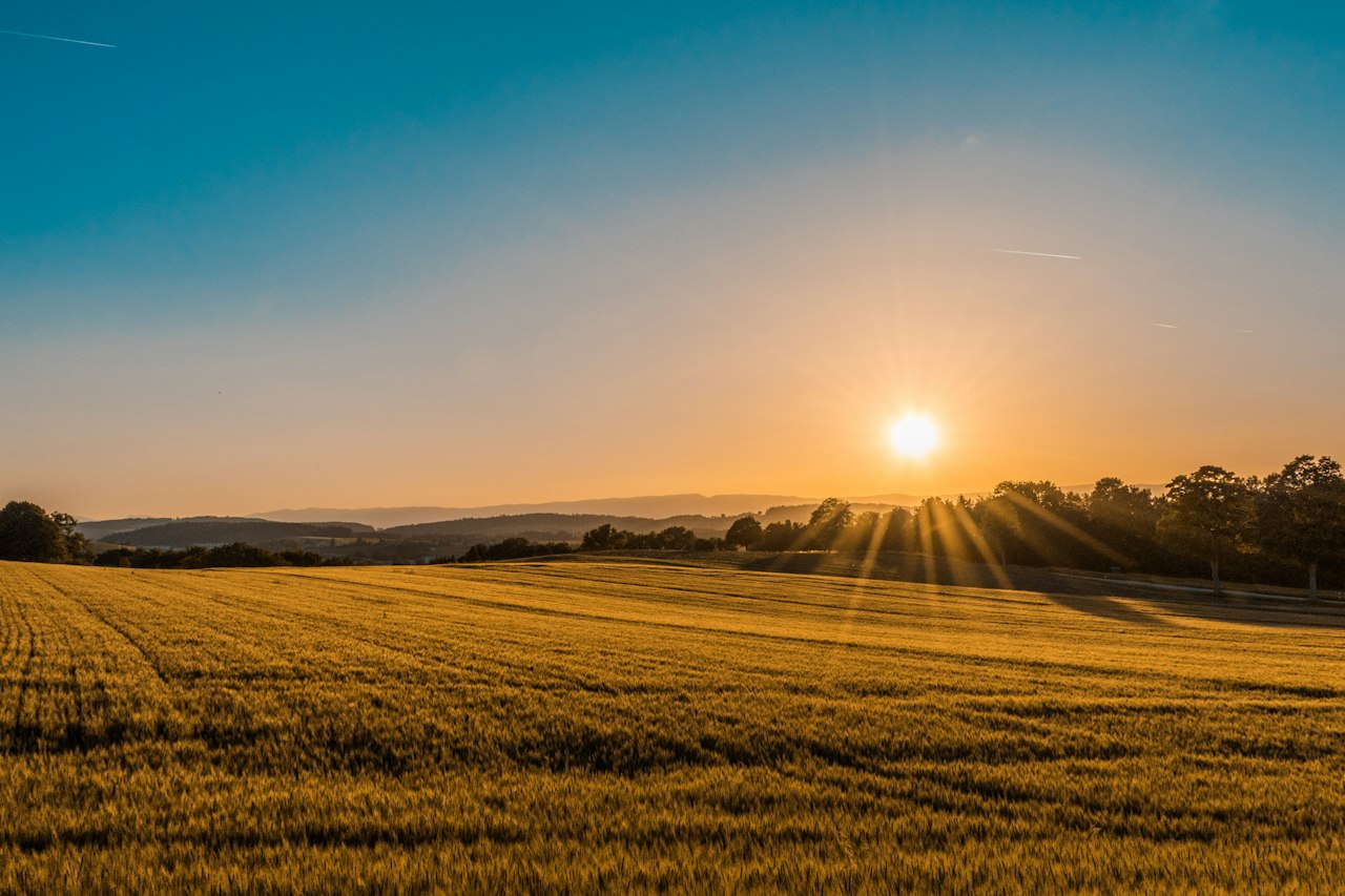 Agriculture Land for Sale